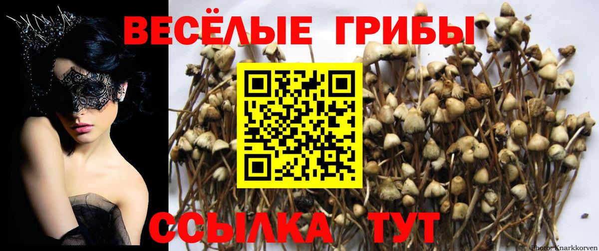 Галлюциногенные грибы мухоморы  Вход с VPN  Октябрьский 